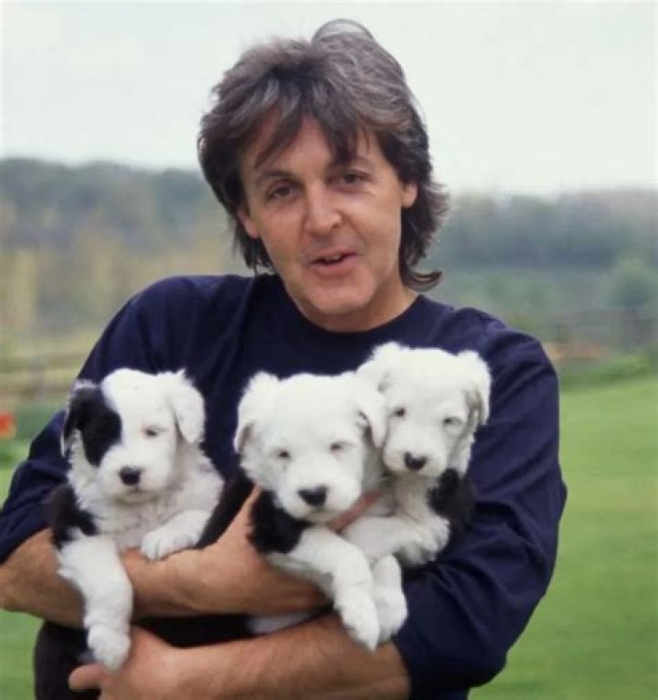 Paul McCartney Pets - Celebrity Pets