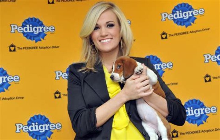 The Most Pampered Celebrity Pets